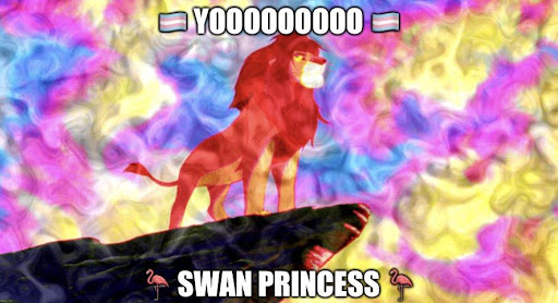 The meme from the dream, consisting of a screenshot from The Lion King with a psychedelic overlay The top text says 'YOOOOOOOOO' surround by trans flag emojis, and the bottom text says 'SWAN PRINCESS' surrounded by flamingo emojis.